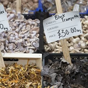 England, London, Borough Market, edible wild mushrooms for sale on market stall