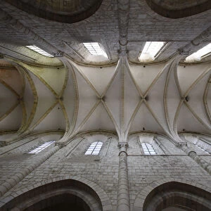 Fleury benedictine abbey church nave ceiling