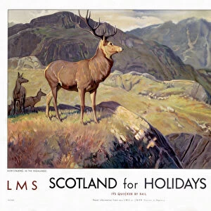 Highlands Poster Print Collection: Related Images