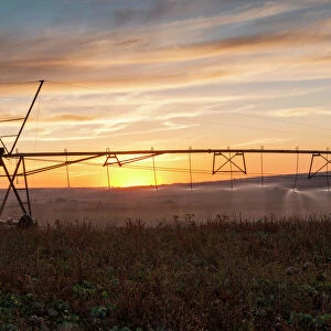 Agricultural Landscape Picture of Center Pivot Irrigation at Sunset on Farm in Magaliesburg, North West Province, South Africa