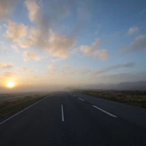 Fog over a country road at sunrise, Henne, Region of Southern Denmark, Denmark
