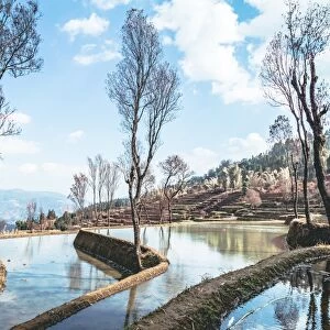 Honghe Hani Rice terraces Landscape