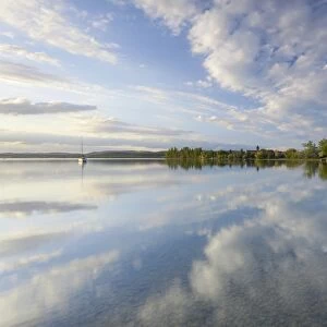 Reflections on the shore of Lake Constance near Reichenau Island, Baden-Wuerttemberg, Germany, Europe
