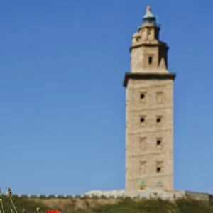 Tower of Hercules with poppies in foreground, A CoruAna (Galicia, Spain)