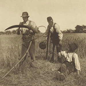 In the Barley-Harvest, Suffolk, 1888 (photogravure)