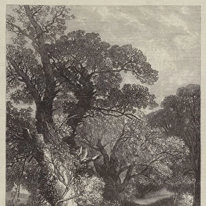 A Country Lane in Surrey (engraving)