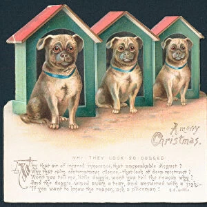 Three Dogs in Kennels, Christmas Card (chromolitho)
