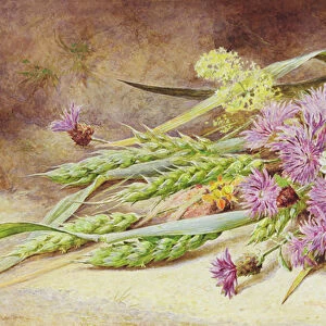 Green Wheat and Wild Flowers (w / c on paper)