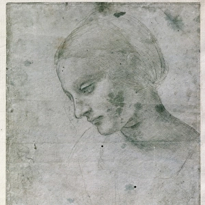 Renaissance art Metal Print Collection: Famous works of Leonardo da Vinci