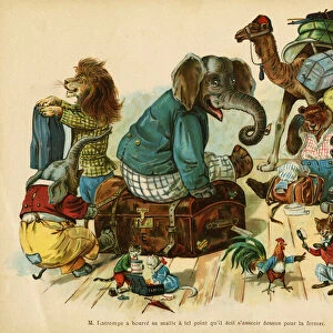 Mr. Latrompe packed his trunk so much that he had to sit on it to close it, illustration of the childrens book "Les animaux en train de plaisir", by J. Jacquin, drawing by G. H. Thompson, edition Hachette et Cie, 1885, Paris
