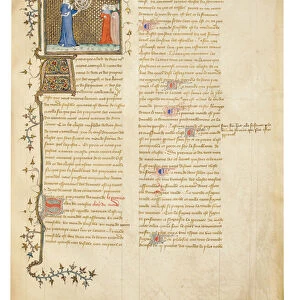 Page from De Proprietatibus Rerum by Bartholomeus Anglicus