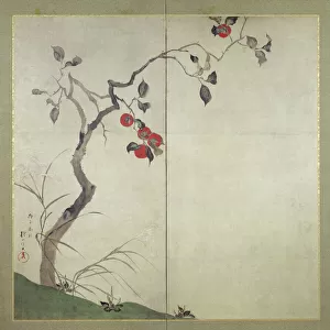 Japanese Wall Art Prints: Sakai