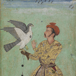 Prince With a Falcon, c. 1600-5 (opaque watercolour, gold, and ink on paper)