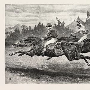DRAWN BY JOHN CHARLTON, HORSE RACING, engraving 1884, life in Britain, UK, britain