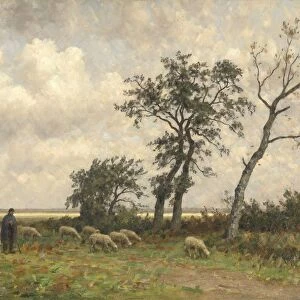 Landscape Drenthe shepherd herd sheep landscape