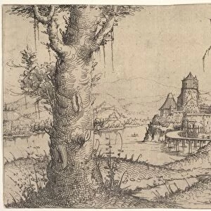 Landscape Large Tree Left 1546 Etching first state