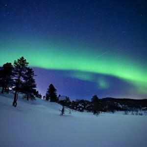 Aurora Borealis and a shooting star in the woods of Troms County, Norway