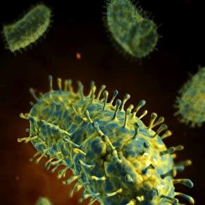 Conceptual image of rabies virus