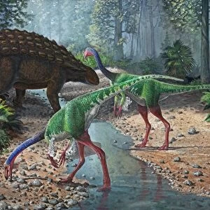 Ornithomimus swallowing stones along a stream as part of their diet