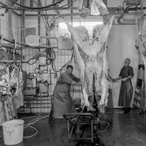 A day in the abattoir 3