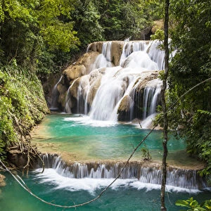 Las Golondrinas Waterfalls, Montes Azules Biosphere Reserve, Chiapas. Mexico, March 2017