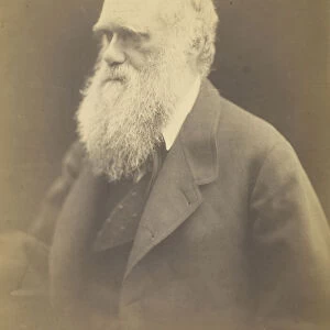 Charles Darwin, 1868. Creator: Julia Margaret Cameron