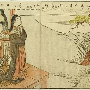 Double-page Illustration from Vol. 2 of "Picture Book of Spring Brocades