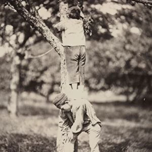 French Country Study: Two Boys Climbing a Tree, late 1870 s. Creator: Auguste Giraudons Artist