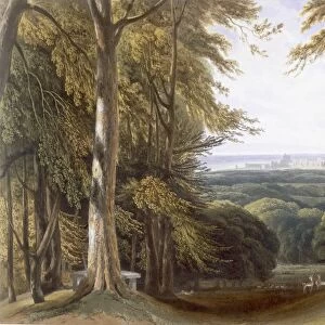 Glen in Windsor Park near Bishops Gate, c1827-30. Creator: William Daniell (1769-1837)