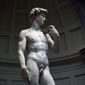 Renaissance art Photo Mug Collection: Famous works of Michelangelo
