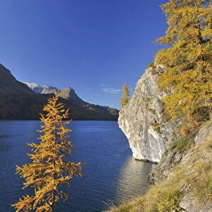 Rocky Shoreline in Autumn, Silsersee, Engadin, Canton of Graubunden, Switzerland