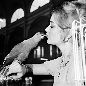 The 26th National Exhibition of Cage and Aviary Birds at Alexandra Palace, North London
