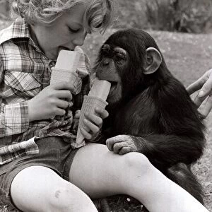 A Baby Chimp and young Sasha Addley, cool off in the hot weather
