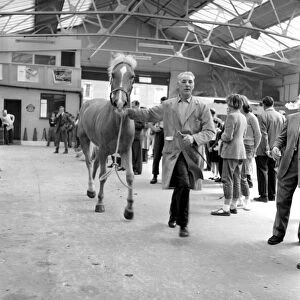 General scene at the Brixton horse auctions. 1961 C48-013