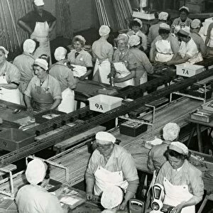 Macfisheries factory women filleting fish in Fraserburgh, Scotland December 1962